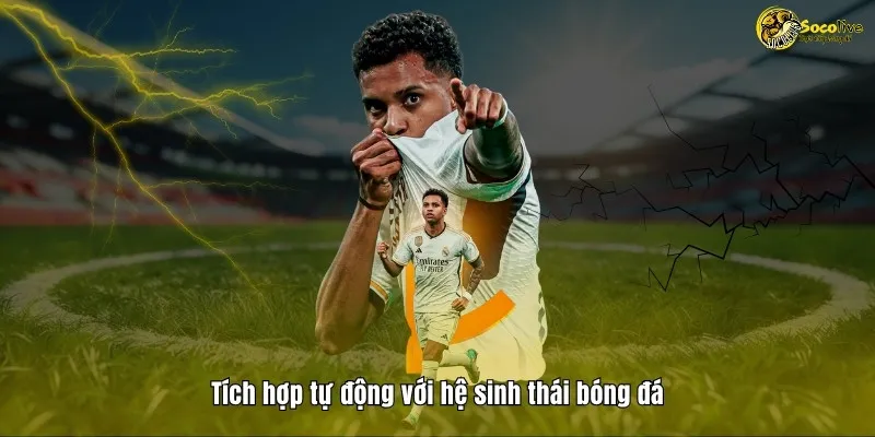 Tích hợp tự động với hệ sinh thái bóng đá 
