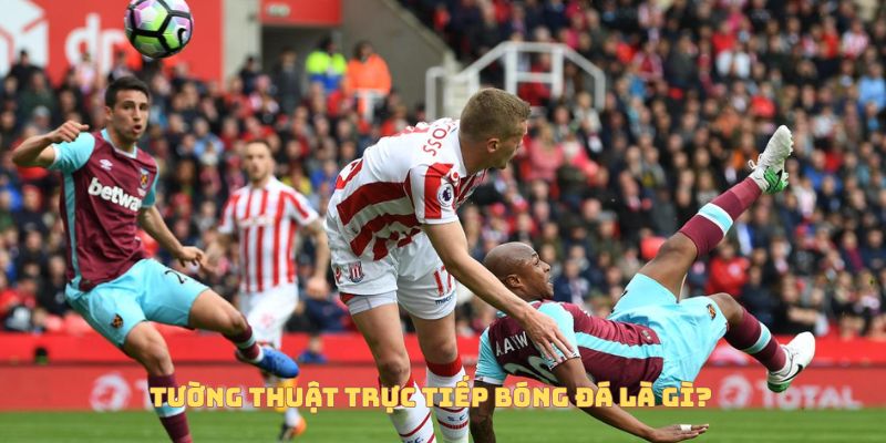 Tường thuật trực tiếp bóng đá Socolive