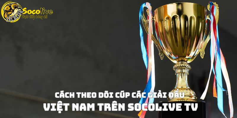 Cách theo dõi cúp các giải đấu Việt Nam trên Socolive TV